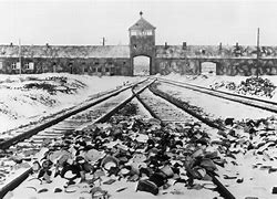 Image result for Auschwitz Hair Room
