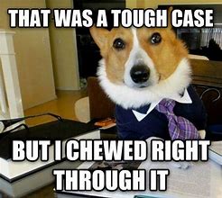 Image result for Meme Generator Lawyer Dog