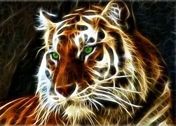 Image result for Free 3D Moving Wallpaper Tigers