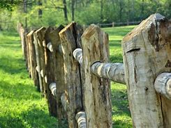 Image result for Horse Rustic Log Fence