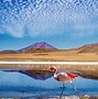 Image result for Bolivia Geography