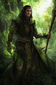 Image result for Male Elf Fighter Rogue Wizard