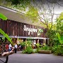 Image result for Singapore Zoo Tourist