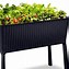 Image result for wooden raised planters boxes