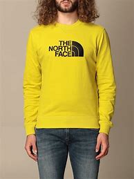Image result for North Face White Hoodie Men