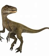 Image result for The Lost World Velociraptor Chris Pratt