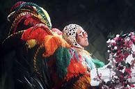 Image result for Elton John Peacock Costume