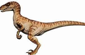 Image result for Jurassic World Velociraptor Squad PNG