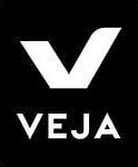 Image result for Veja Platform Trainers
