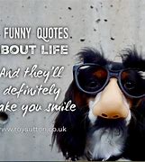 Image result for Witty Life Quotes