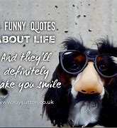 Image result for Humorous Life Quotes