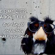 Image result for Funny Stuff Quotes By