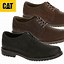 Image result for Cat Shoes