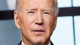 Image result for Joe Biden and His Brother