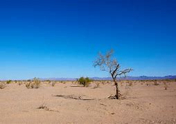Image result for South Sudan Desert