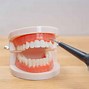 Image result for Teeth-Cleaning