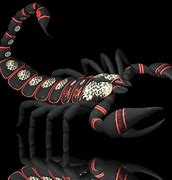 Image result for Scorpion 3D Wallpaper for Desktops