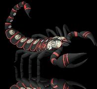 Image result for Scorpion 3D Wallpaper Art