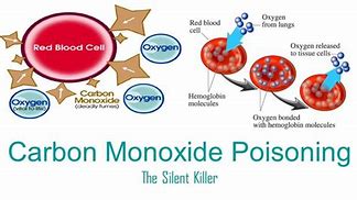 Image result for Carbon Monoxide Hemoglobin