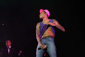 Image result for Chris Brown Best House