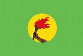 Image result for Zaire and Congo