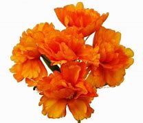 Image result for Peony Plant Supports