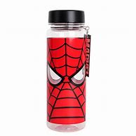 Image result for SpiderMan Water Bottle