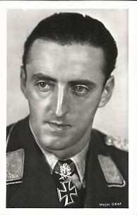 Image result for Luftwaffe Aces