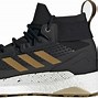 Image result for Adidas Terrex Free Hiker Cold