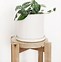 Image result for Individual Indoor Plant Stand