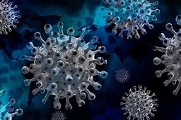 Image result for Covid 19 Vaccine Trial