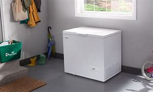 Image result for Garage Ready Small Freezer