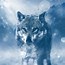 Image result for Wolf Background Wallpaper