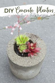 Image result for DIY Concrete Planters Outdoor