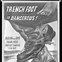 Image result for WW1 Western Front Foot