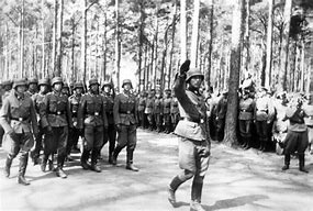 Image result for Waffen SS Army