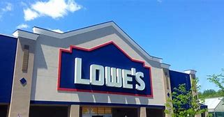 Image result for DSW Lowe's Logos