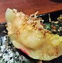 Image result for Pan Fried Gyoza
