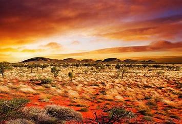 Image result for photos of west australia red outback deserts