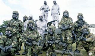 Image result for US Army primate lab in Maine