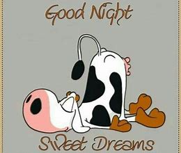 Image result for Good Night Funny Cute Cartoons