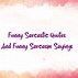 Image result for Funny Quotes About Sarcasm
