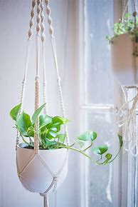 Image result for How to Make a Plant Hanger with T-Shirt