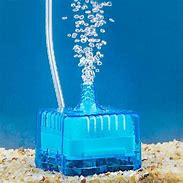 Image result for Carbon Filter Fish Tank