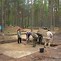 Image result for Sobibor Camp