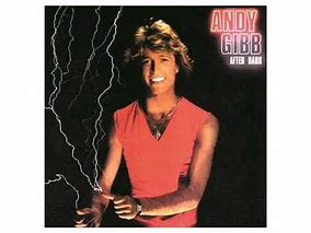 Image result for Andy Gibb After Dark