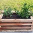 Image result for Indoor Wooden Planter Box