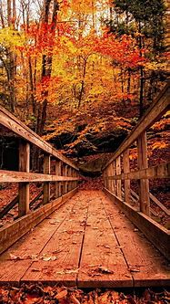 Image result for Autumn Wallpaper Free for Amazon Fire Tablet
