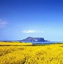 Image result for Jeju Island Background