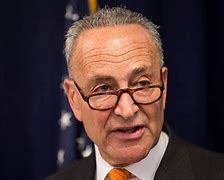 Image result for Chuck Schumer Press Conference